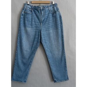 Arizona Jean Co Women 17 High Rise Skinny Cotton Stretch Light Wash Denim